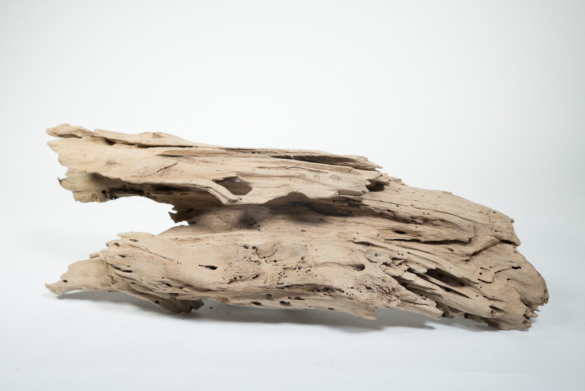 More Driftwood