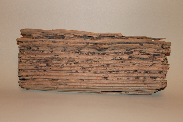 Driftwood For Project